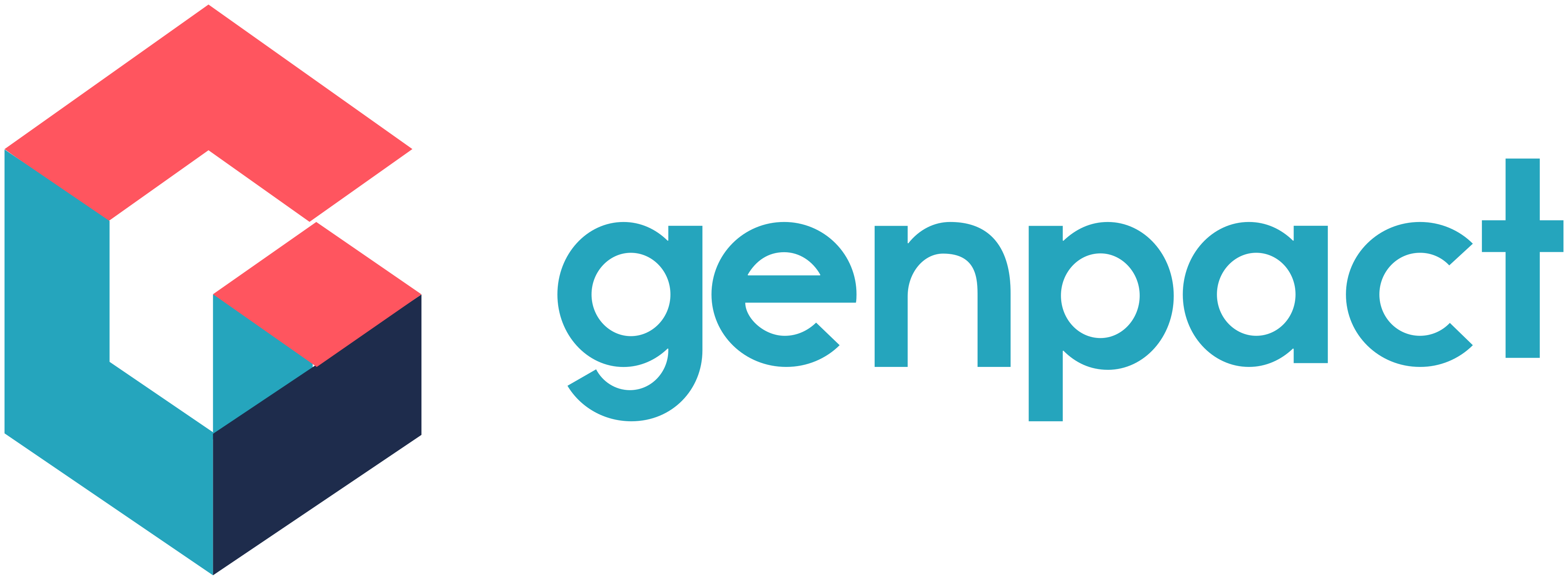 Process Developer